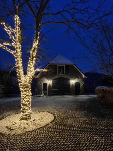 ทัศนียภาพภายนอกโรงแรม, Prachtig en zeer ruim vakantie-appartement "BijFlore" in โลเชม