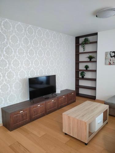 SAG Panorama City Apartment 3 rooms free parking Free wifi, Bratislava (fotografie 9)