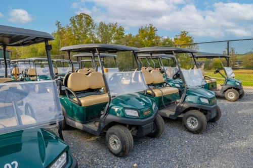 Luray RV Resort on Shenandoah River