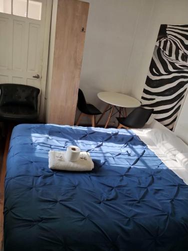 Wild Bellavista Hostel – Santiago de Chile, TX