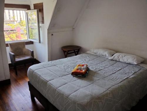 Wild Bellavista Hostel – Santiago de Chile, TX