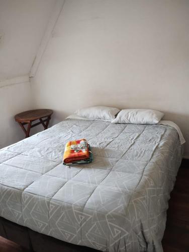 Wild Bellavista Hostel – Santiago de Chile, TX