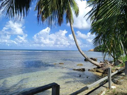 View, Mx2 Cottage in Calibishie