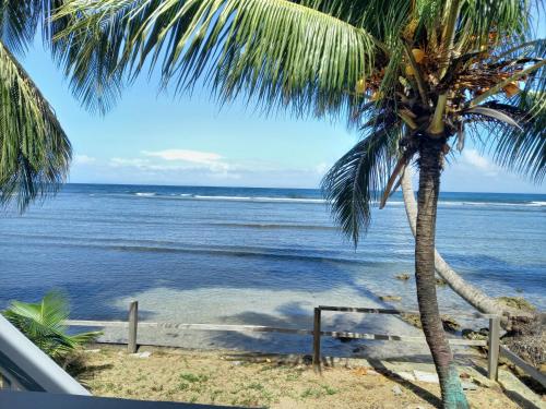 View, Mx2 Cottage in Calibishie