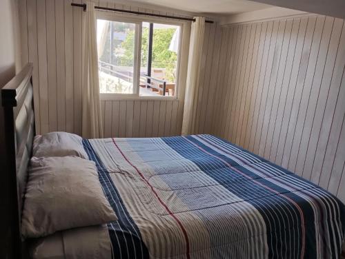 Wild Bellavista Hostel in Santiago