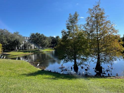 Nearby attraction, House close Baldwin-park Lake & Downtown Orlando in Orlando East