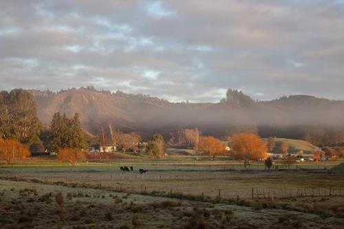 B&B Otangihaku - White Pine Bush Cabins - Bed and Breakfast Otangihaku