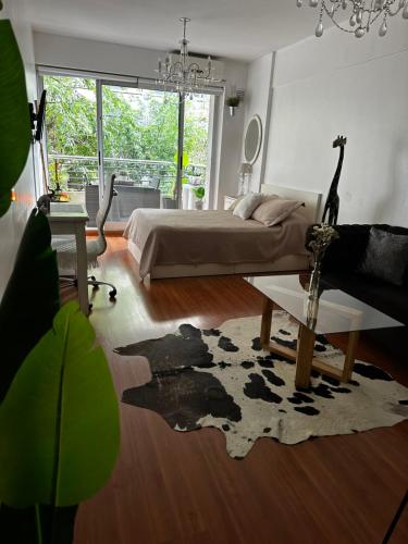Hermoso Monoambiente en Belgrano Buenos Aires, Buenos Aires (fotografie 4)