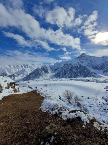 Guest house Track Kazbegi