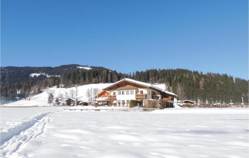 Cozy Apartment In Flachau With Wifi