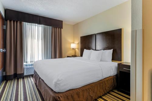 Comfort Inn & Suites - image 10