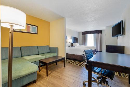 Comfort Inn & Suites - image 13