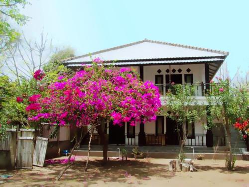 The Rabbit Tree Hostel in Gili Meno
