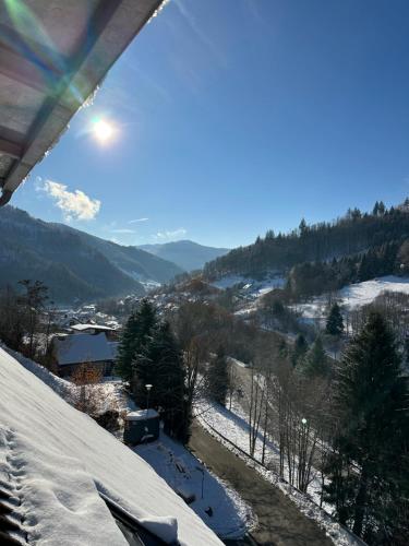 Bollenlodge - Ferienwohnung mit Ausblick und Top Lage - Apartment - Todtnau