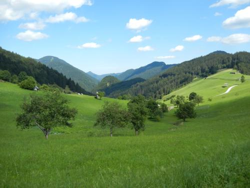 Guesthouse Macesen - image 10
