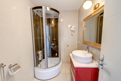 One-Bedroom Apartment image 7