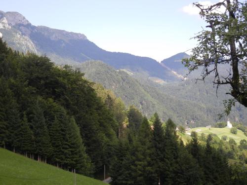 Guesthouse Macesen - image 8