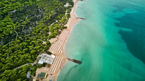 ROBINSON APULIA - All Inclusive, Ugento (foto 6)