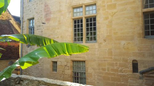 L'appart d'à coté 1 chambre (L'appart d'a cote 1 chambre) in Sarlat-la-Caneda City Center