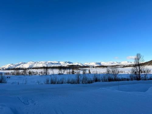 المنطقة المحيطة, Apartment Grønlid in رولاند