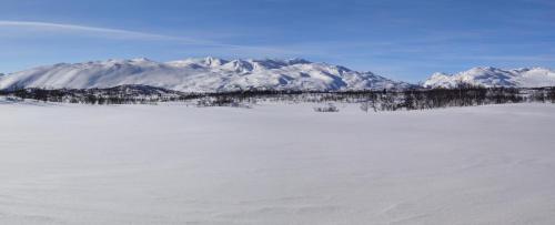 المنطقة المحيطة, Apartment Grønlid in رولاند
