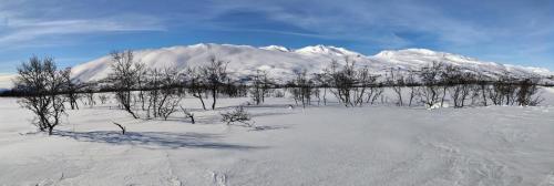 المنطقة المحيطة, Apartment Grønlid in رولاند