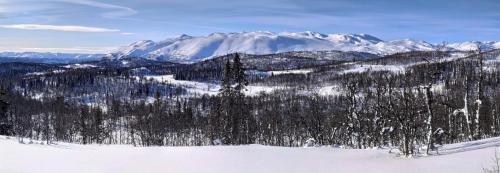 المنطقة المحيطة, Apartment Grønlid in رولاند