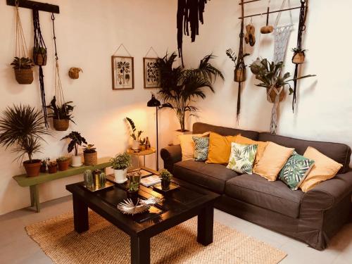 Cuarto Botánico Stylish Studio with Shared Pool