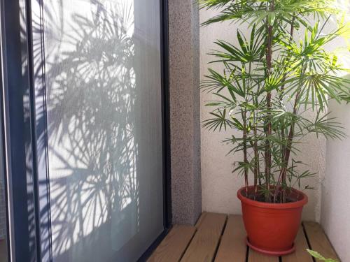 珍遇珍寓電梯民宿 June June House