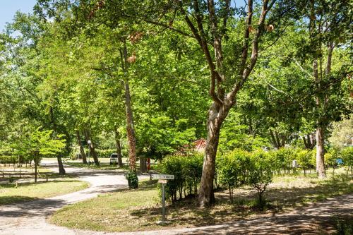 Camping les Rives du Lac de Vinça