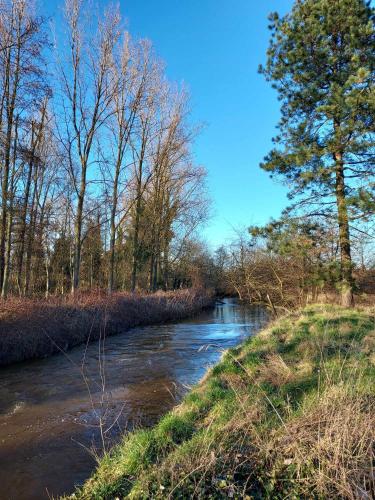 Rustig gelegen chalet Solvo met terras aan het water