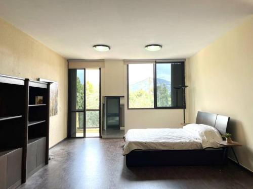 Pleasant 1BR apt with green views - Jamhour