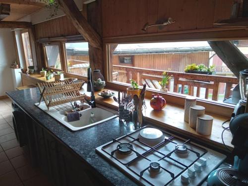 Charmant duplex 70m2,type châlet savoyard (Charmant duplex 70m2,type chalet savoyard) in Le Mollard