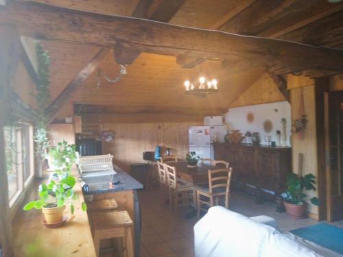 Charmant duplex 70m2,type châlet savoyard (Charmant duplex 70m2,type chalet savoyard) in Le Mollard