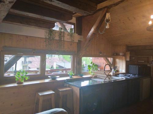 Charmant duplex 70m2,type châlet savoyard (Charmant duplex 70m2,type chalet savoyard) in Le Mollard