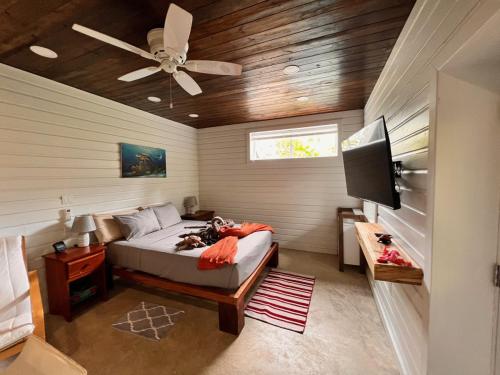 Oprema, La Vida Belize - Studio in Caribbean Way