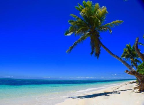 Sunrise Lagoon Homestay Yasawa Islands