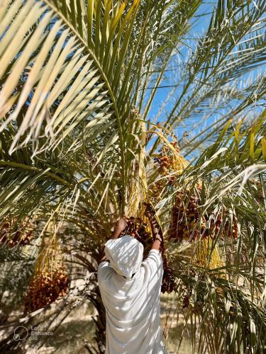 Wostel Djerba