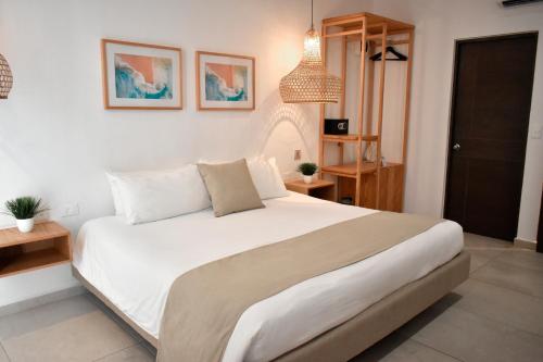 Terrasse Hotel Playa del Carmen_1_image