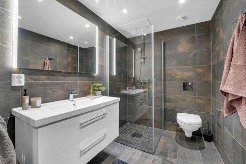 New Nice apartment Trysil alpine lodge with the lift right outside in Trysil