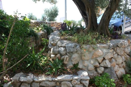 Apartments Rados - image 12