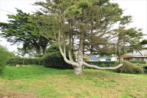 Maison VUE MER avec jardin à 800m de la plage à TREBEURDEN REF-683