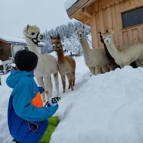 Baby- und Kinderbauernhof Montaning