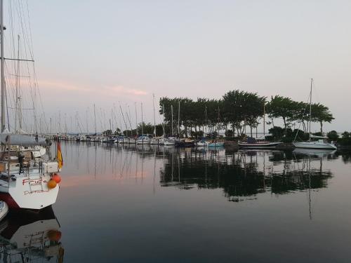 Ferienhaus Lichtblick am Teich