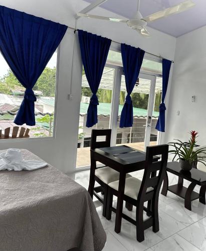 View, Hotel Serendipity in Tortuguero