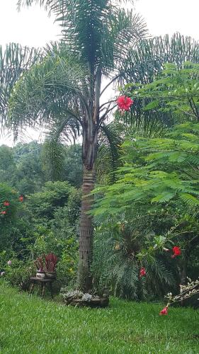 Sobrado flor da laranjeira