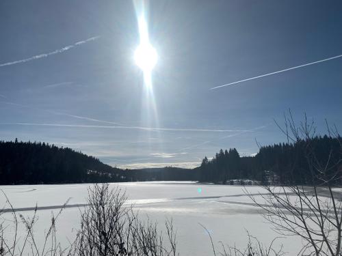 BergOase-Apart am Feldberg