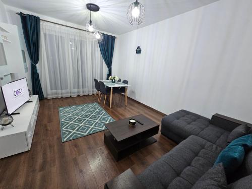 One-Bedroom Apartment image 3