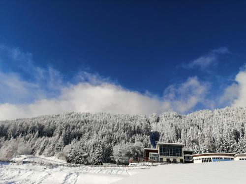  WILTIGERHOF in Fulpmes