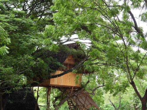 Yala Village Eco Tree House